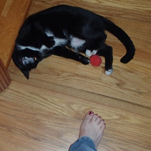 Share My Items And I Will Share Yours - Picture 1 of 7